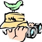 geoBirder
